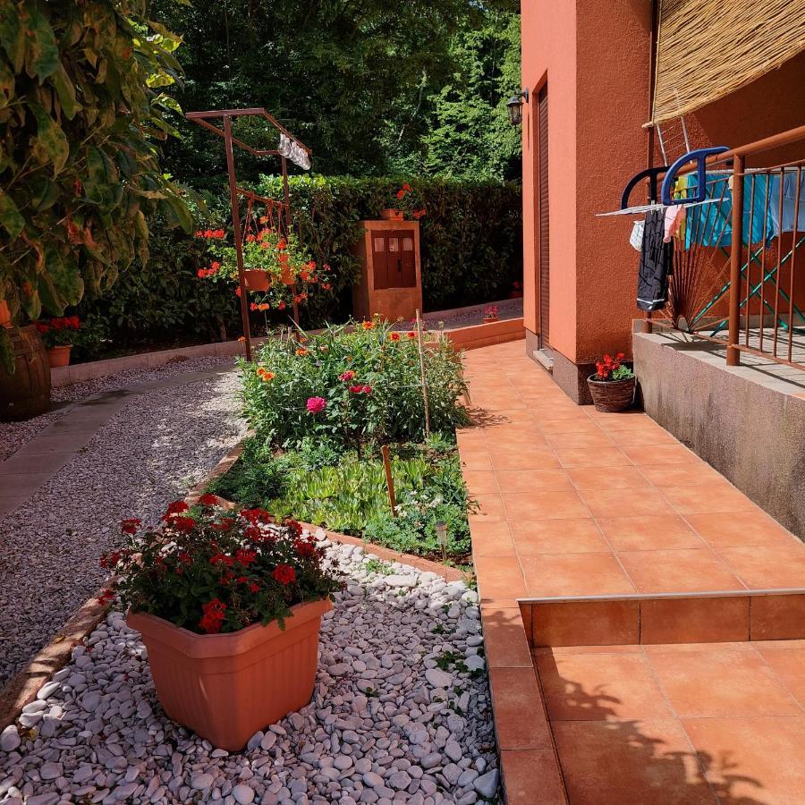 Studio Apartman Branka Labin (Istria) Exterior foto