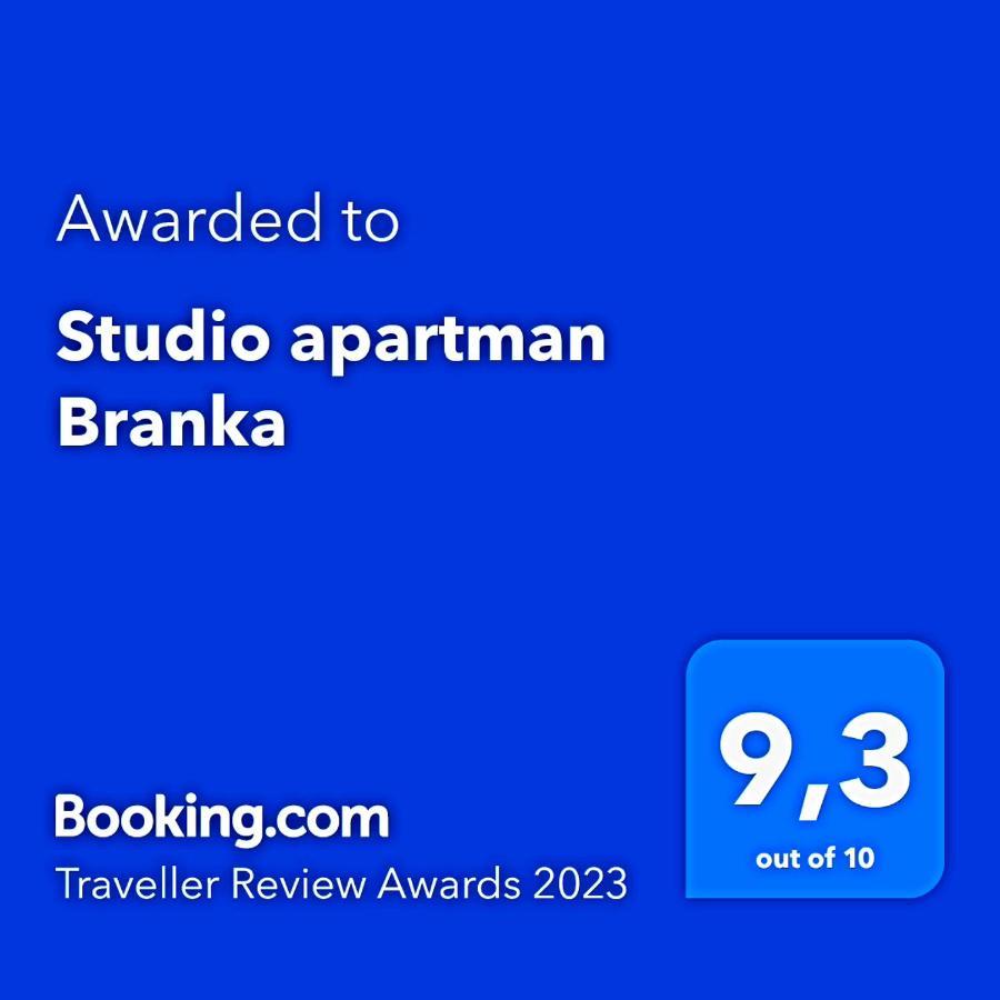 Studio Apartman Branka Labin (Istria) Exterior foto