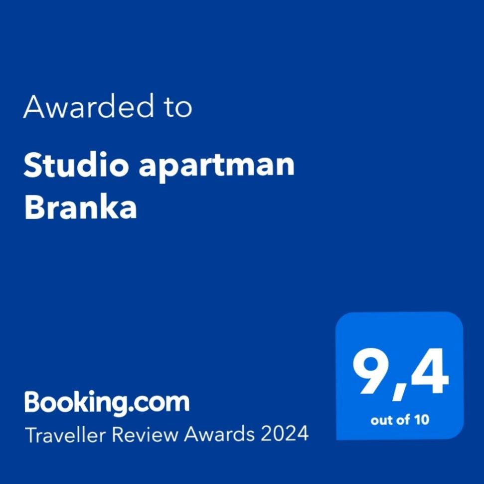 Studio Apartman Branka Labin (Istria) Exterior foto